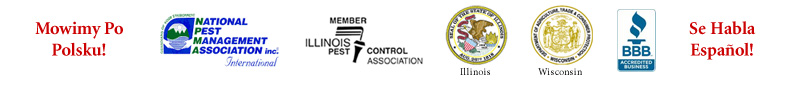 Pest Control Chicago
